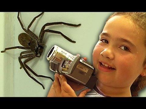 how to react during fire attack