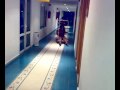 Nuestas locuras en el hotel mientras todos duermen.mp4
