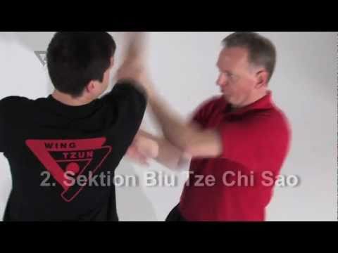 Dai-Sifu Nikos (from Germany) youtube channel See video