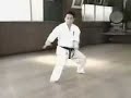 Kyokishin Kata : Sushiho