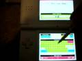 Action Replay DS Error