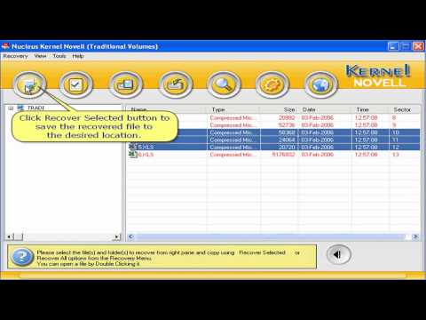 how to repair nss volume