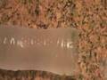 Supercooling Water 3 of 3