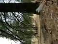 one wheel bike jumping