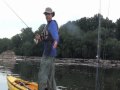 River Sight Fishing
