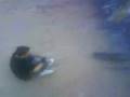 videos de la caida de la dimison
