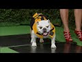 Beth Ostrosky video 3