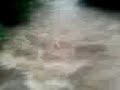 Crazy Cam gettin close to flood Crazy Cam gettin close to flood