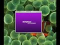 Macbook 101: Sixty Force