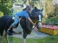 ~Das alles bist du f�r mich...~