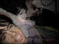 videos de So Emotional (A NLT Story) Ep 1