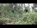 In the WILDERNESS: Collecting Rainwater and Wireless Internet