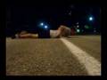 Football Freestyle Noblet: sitdowns at night