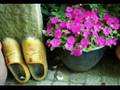 sugar lee hooper de wandelclub parodie