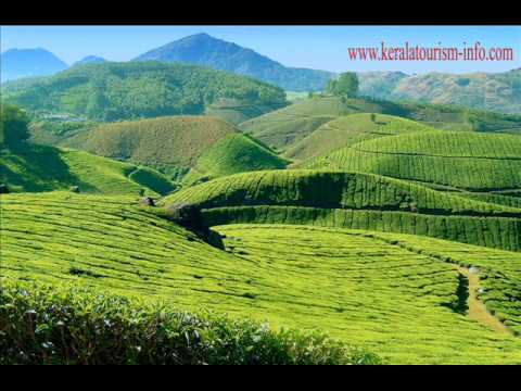 how to plan kerala trip