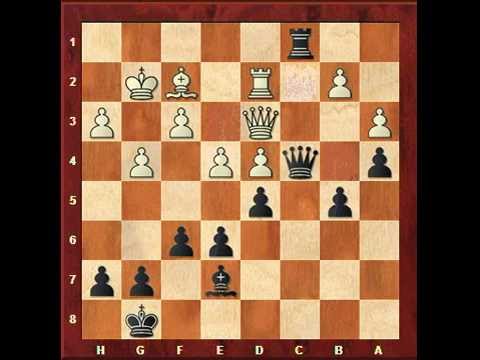 chess knight