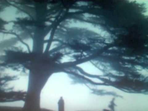 Lady Chatterley's Lover