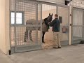U of M unveils new equine center