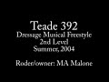KFPS Friesian Stallion Teade 392 Dressage 2004