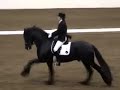 KFPS Friesian Stallion Teade 392 Dressage 2004