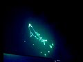 The fish is speaking to you!! The fish is speaking to you!!