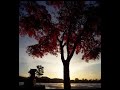 Hi-Fi Set - GlowingAutumn