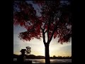 Hi-Fi Set - GlowingAutumn