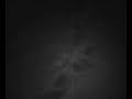 Snow, Smoke, and Midnight Air (Bad Quality Version)