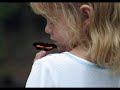Borboletas - Luciana Mello