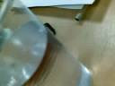 04092008161.mp4 04092008161.mp4