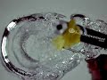 An air balloon popped underwater in high-speed