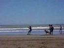 damian maltratado por el kite
