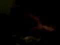 MOV 0006