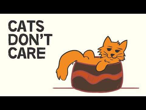 What Cats Teach Us About Happiness | A Cat's Philosophy