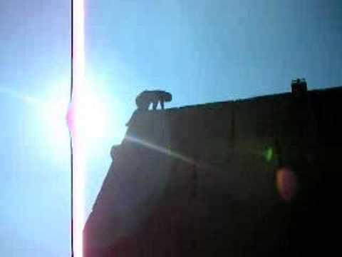 Spider Man from India