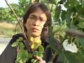 Nguoi Tinh Hai Mat Nguoi Tinh Hai Mat