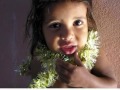 videos de Nino