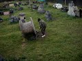 Paintball Estepona