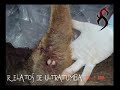 CHUPACABRAS EN EMPALME??? 2da Parte - RELATOS DE ULTRATUMBA CHUPACABRAS EN EMPALME??? 2da Parte - RELATOS DE ULTRATUMBA