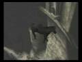 Shadow of the Colossus:Agro does back flips Wander is shamed