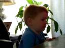 Zach Watching his pumpkin patch Powerpoint