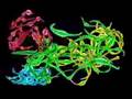 Untitled (worms) - Philip Galanter - 1999