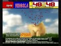la morte di virgola il gattino... anti virgola 4ever