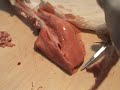 Dissecció pulmons (3) / Disección pulmones / Lungs disection