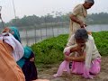 Ganges River Dolphin