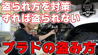 動画のサムネイル