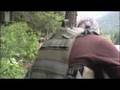 Dinosaur Special-Ops