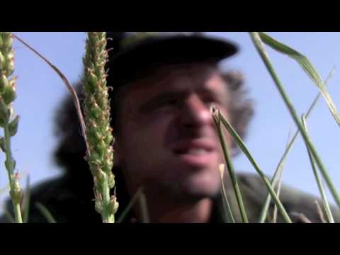 Image de prévisualisation YouTube