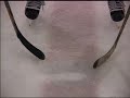 mike sullivan - tampa bay lightning associate coach shows how to cut the circle to gain posession of the puck.