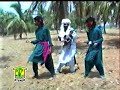 Balochi Song